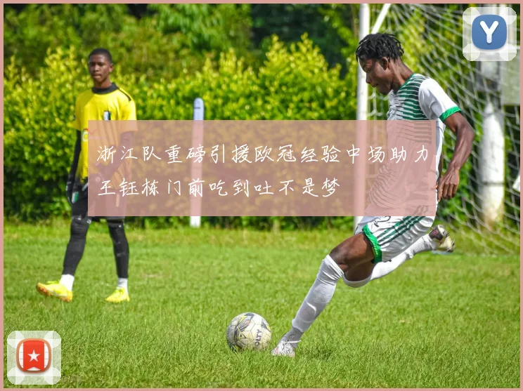 浙江队重磅引援欧冠经验中场助力王钰栋门前吃到吐不是梦